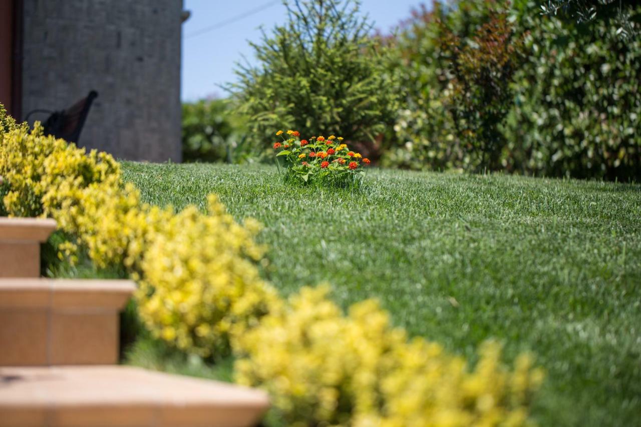 B&B Paradiso San Salvo Dış mekan fotoğraf